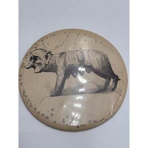 1960s Lyndon Johnson LB 6” David Levine Anti campaign pin button political